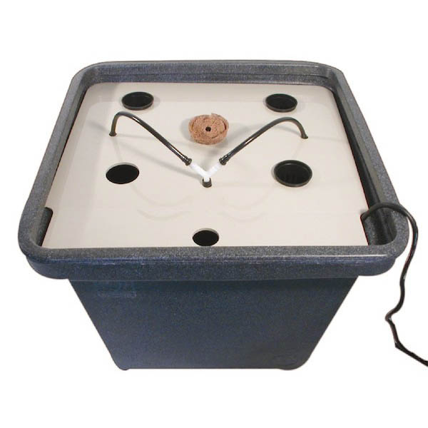 Aerofarm 2'' General Hydroponics 48/72 h.