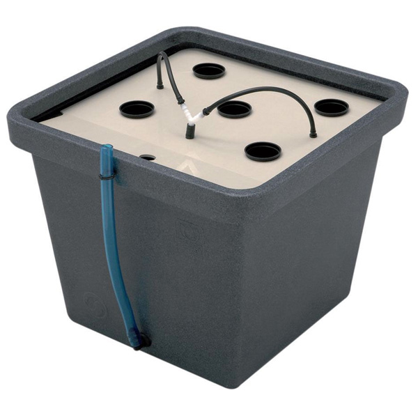 Aerofarm 3'' General Hydroponics 48/72 h.