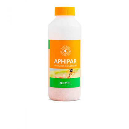 Aphipar 1000 Aphidius Colemani