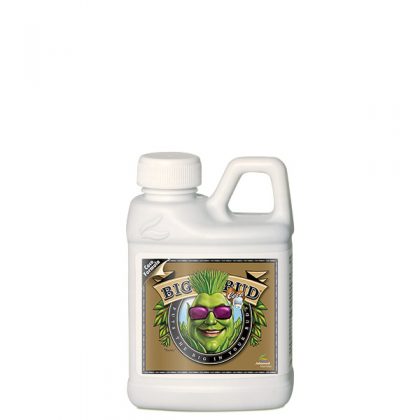 Big Bud Coco Liquid  250 ml. Advanced Nutrients
