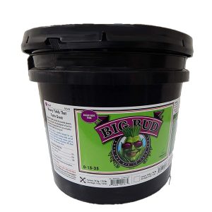 Big Bud Powder 10 Kg. Advanced Nutrients