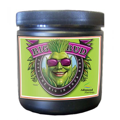 Big Bud Powder 20 Kg. Advanced Nutrients