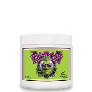 Big Bud Powder   500 gr. Advanced Nutrients