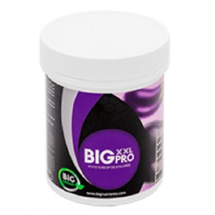 Big XXL Pro 1 Kg. Big Nutrients
