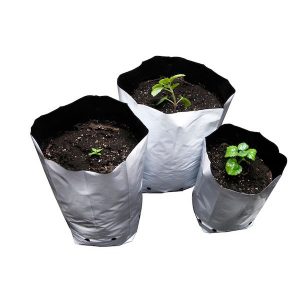 Bolsa Cultivo Blanca  8.8 lt. 2 gal. - 32.5 cm. 50 ud.