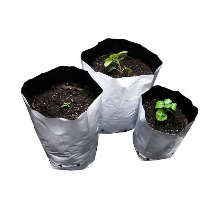 Bolsa Cultivo Blanca  8.8 lt. 2 gal. - 32.5 cm. 50 ud.