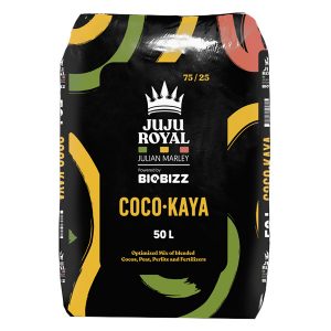 Coco Kaya 50 Lt Juju Royal