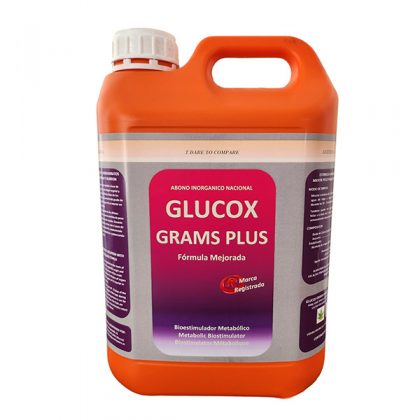 Glucox Grams Plus 5 lt.