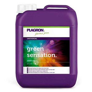 Green Sensation 10 lt. Plagron