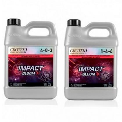 Impact Bloom A+B 10 lt. Grotek
