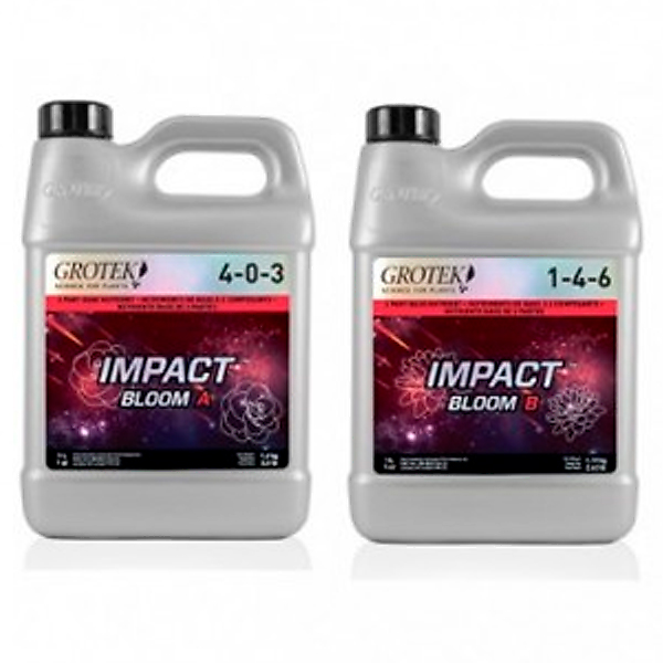 Impact Bloom A+B 10 lt. Grotek