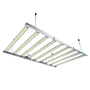 Led Pure Lazerlite Electronic 1.080 w 3.1