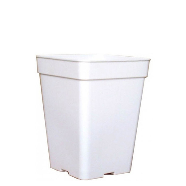 Maceta Cuadrada Blanca 13 x 13 x 14.5 cm. 2.2 lt. - 25 ud.