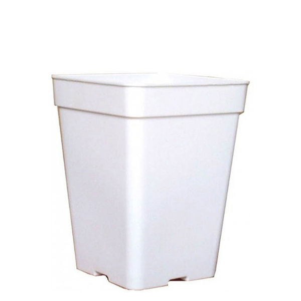Maceta Cuadrada Blanca 15 x 15 x 18.5 cm. 3.2 lt. - 25 ud.