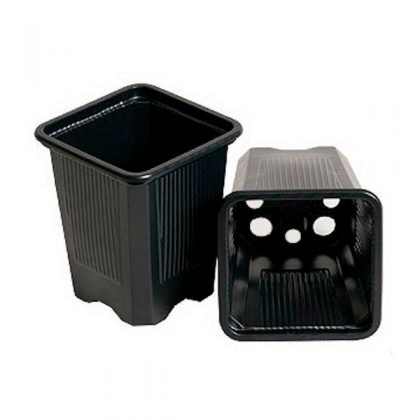 Maceta Cuadrada Negra  7 x 7 x 8 cm. 0.23 lt. - 100 ud.