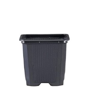 Maceta Cuadrada Negra  9 x 9 x 10 cm. 0.6 lt. - 50 ud.