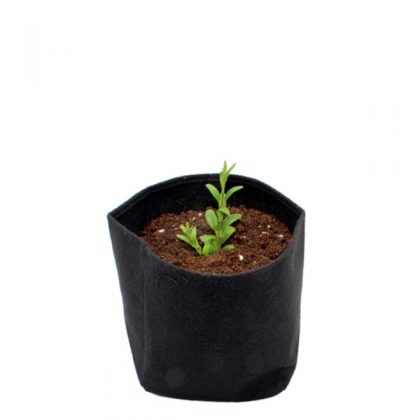 Root Tex Cuadrada 7.5 lt  2 gal Negra.