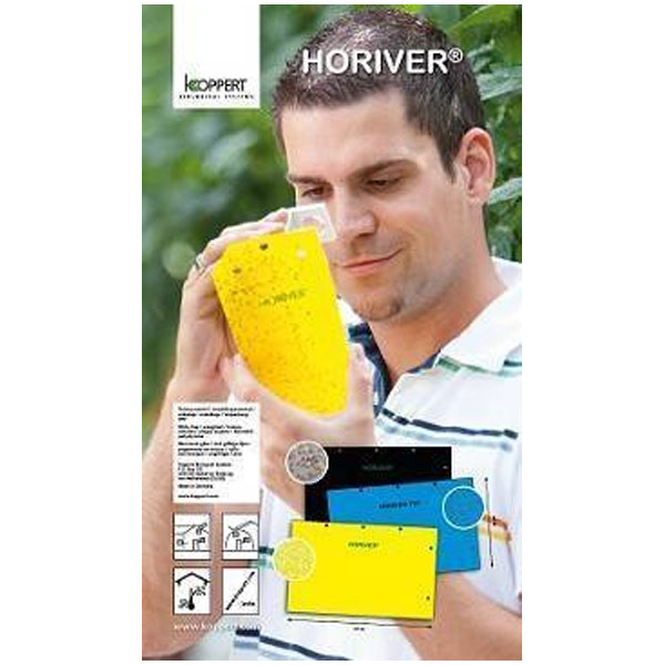 Trampa Adhesiva Azul 40x25 cm. 12 ud.